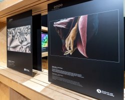 Mechorost jako predátor. Výstava Věda fotogenická ukazuje krásy vědy i humor